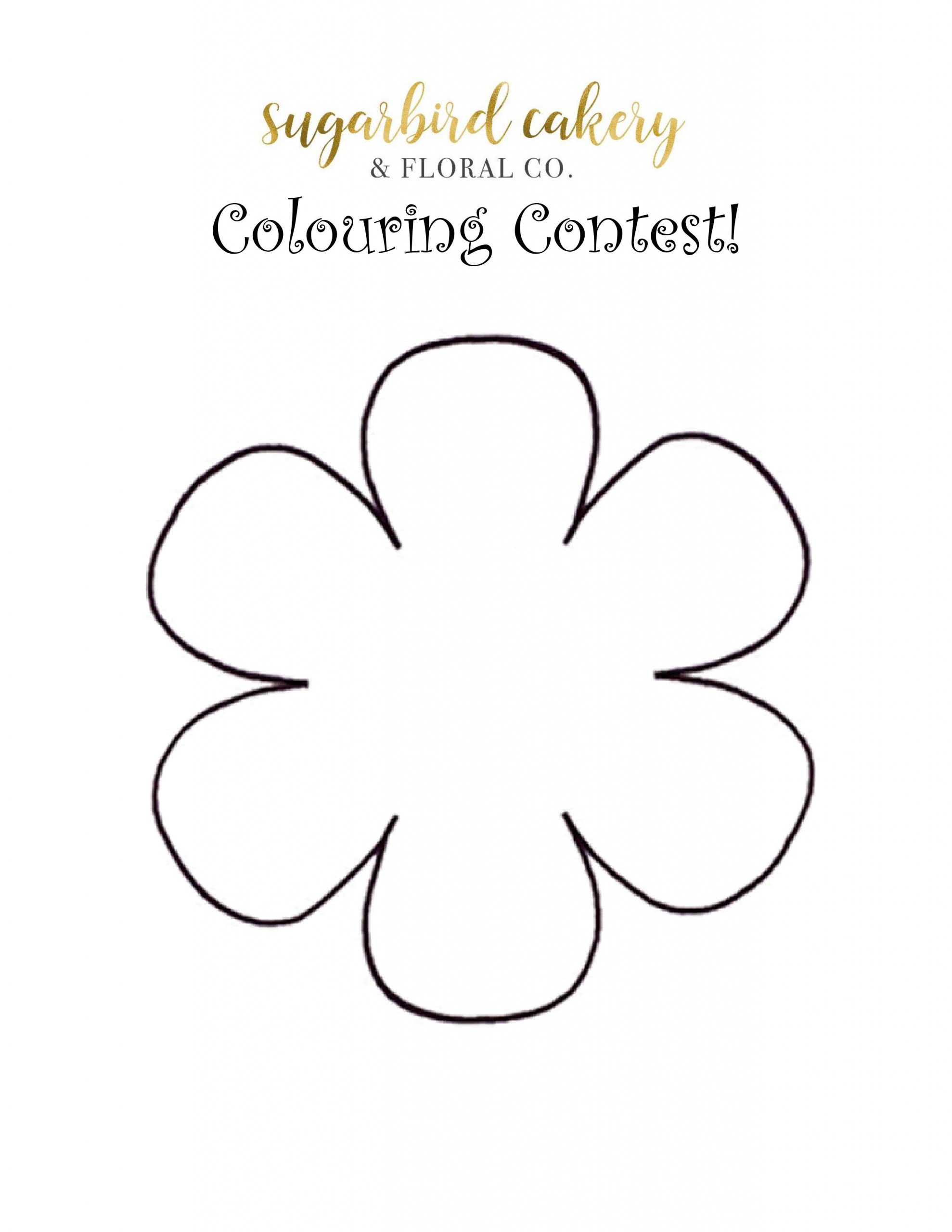 Colouring Contest